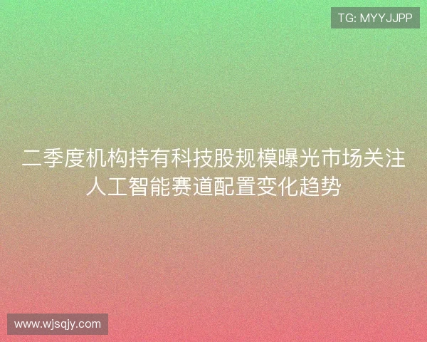 二季度机构持有科技股规模曝光市场关注人工智能赛道配置变化趋势